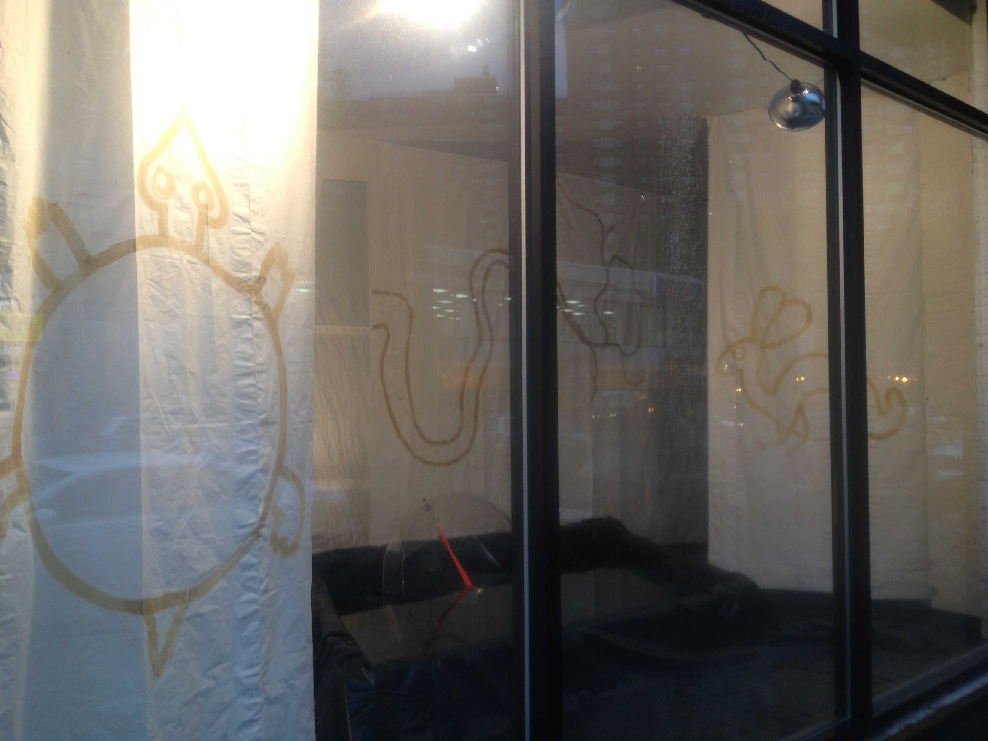 Snapping Turtle || Wishing Well